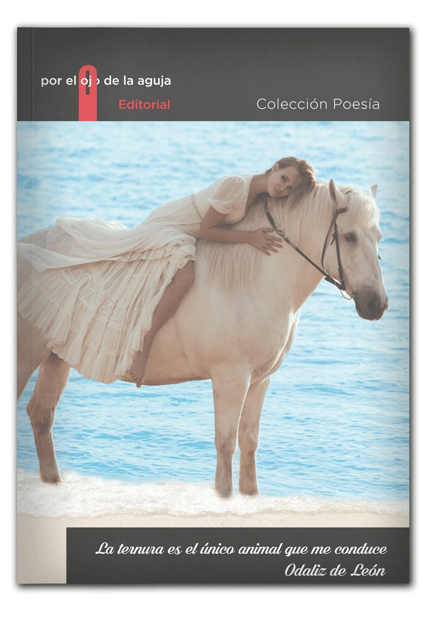 editar libro de poesia